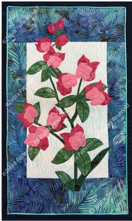 Bougainvillea