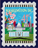 Washington D.C. Applique