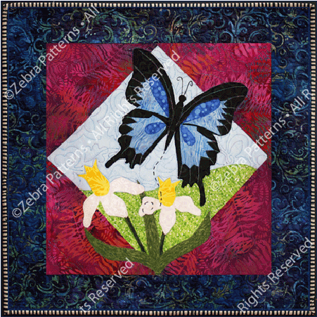 Blue Mountain Swallowtail