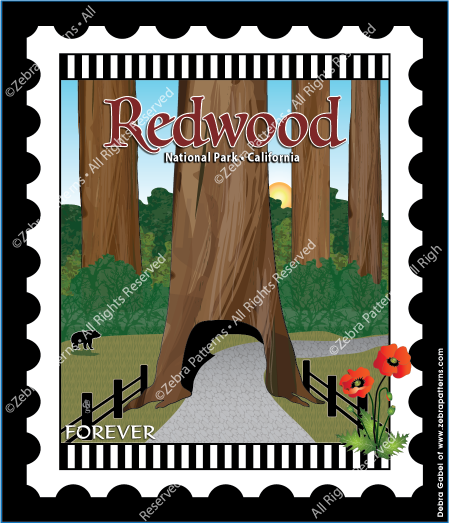 Redwood California
