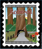 Redwood California