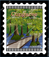 Congaree South Carolina